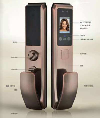 人臉識別智能鎖AJL-Q88