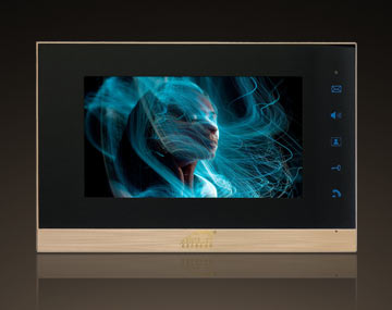 樓宇對講分機(jī)